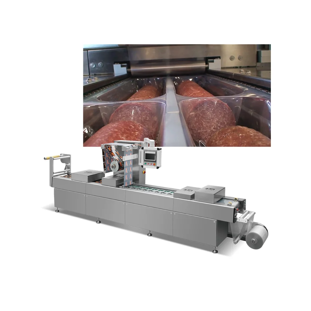 Automatic Thermoforming Film Vacuum Packing Machine for Sausage, Thermoforming Machine Meat Packing DLZ
