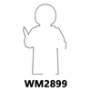 WM2899