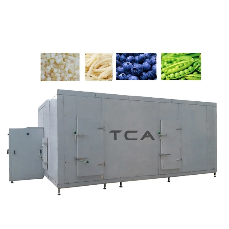 TCA Frozen Vegetable Production Line Iqf Fruits and Vegetables Line for Cucumbers Tomatoes and Snow Peas