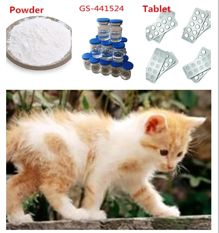 GC 441524 для кошек. Лекарство для кошек GS 441524. Nucleoside Analog GS-441524 препарат для кошек. Суи GS таблетки. Gs для кошек купить