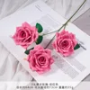 TY-3 Mocha Rose - Rose Red