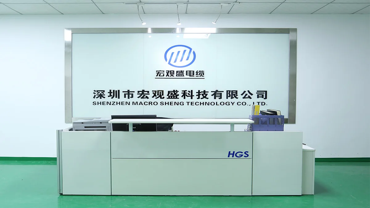 Shengzheng Hongguansheng Science And Technology Co., Ltd.