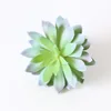Fiore di loto blu