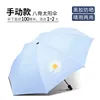 Manual] 8 bone regular gd small daisy - light blue
