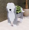 English Shepherd 618g