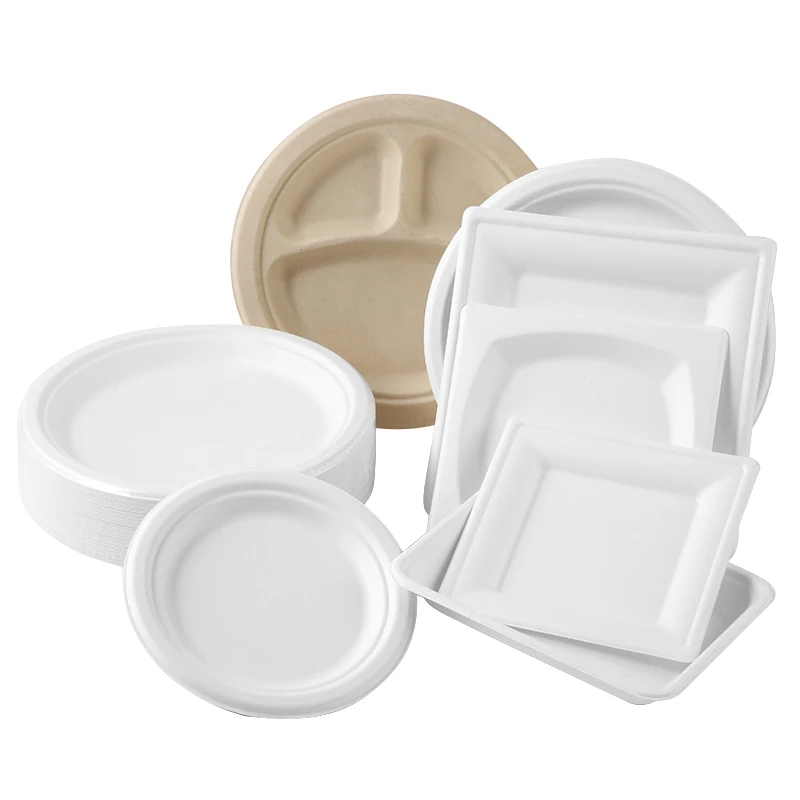 9 Inches Safe Product Eco-Friendly Sugarcane Bagasse Disposable...