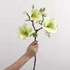 Ciotola grande verde magnolia - 60 cm
