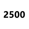 19-2500