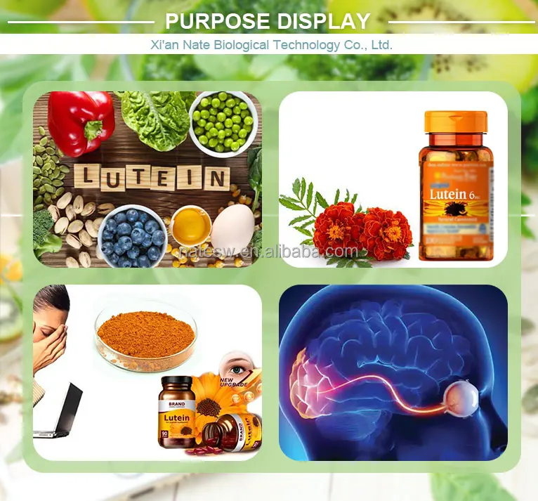 Marigold Flower Extract Water Soluble Lutein Powder 5 Buy Water