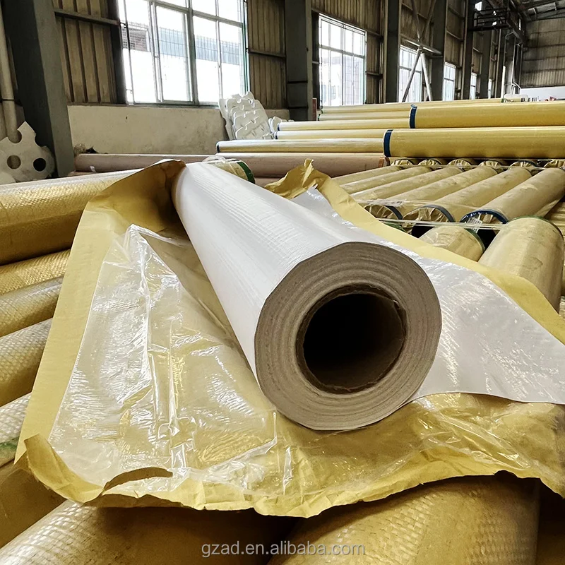 High Quality Eco Solvent Ink Coated/Laminated Flex Backlit Banner for Advertising