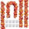 Maple vines