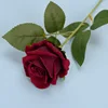 #2 Red