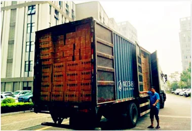 DHL fedex ups tnt