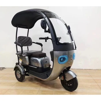 2024 New Latest Electric Tricycle Household Tricycle Electric Bike With Rain Cover