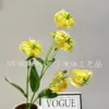 ดอกลิลลี่ Gloriosa 5 หัว