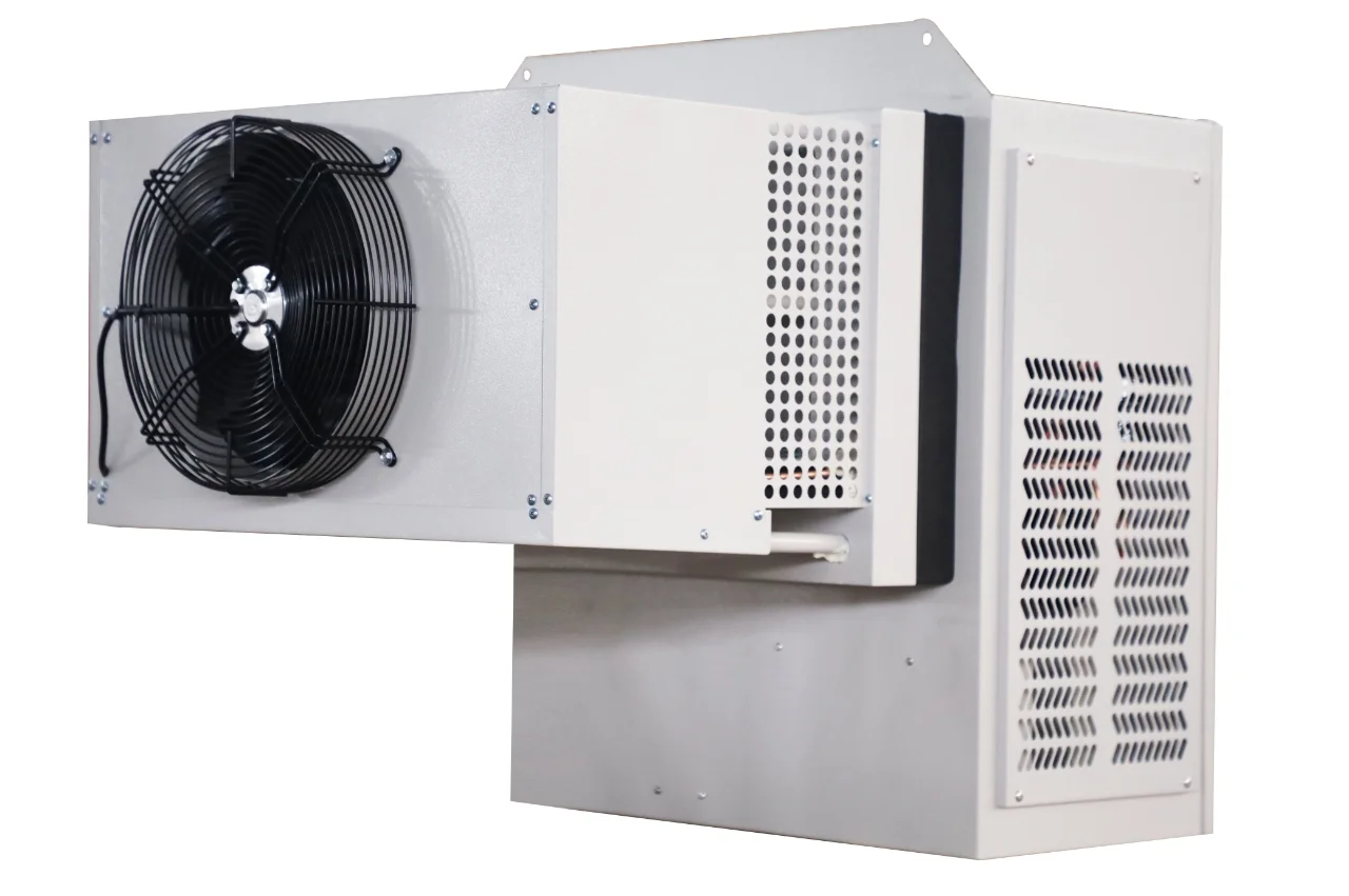 Walk in 20 square Meters Container Freezer Cold Storage Room Custom Freezing Room with Refrigeration Equipment Freezer