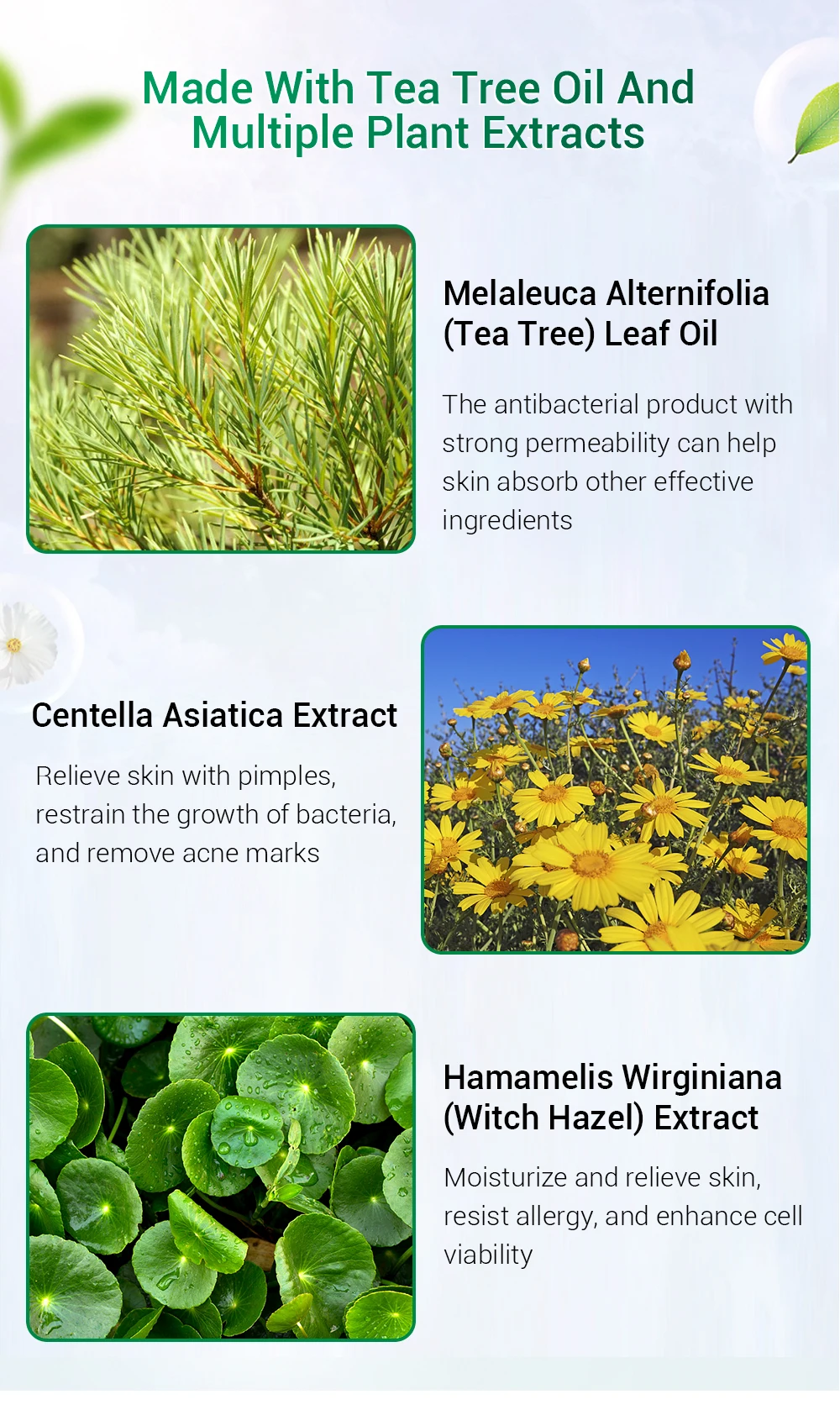 BREYLEE Private Label Tea Tree Oil Dark Spot Removing Acne Pimple Skin Repair Face Cream supplier