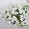White 6-headed small roses