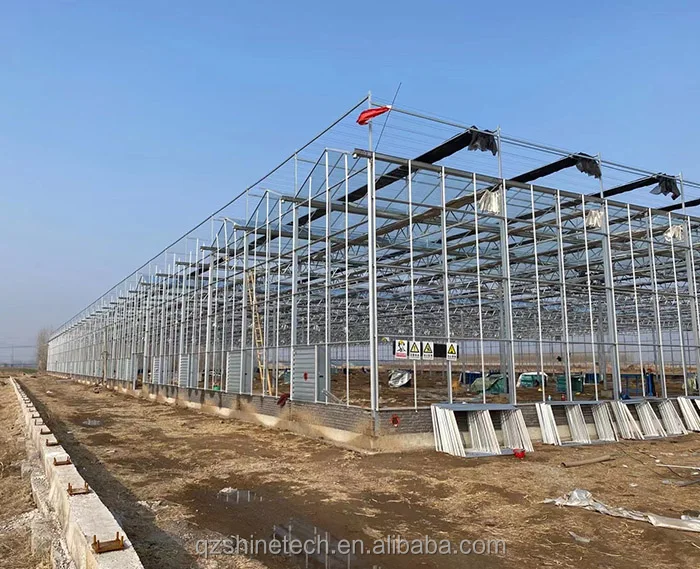 glass greenhouse