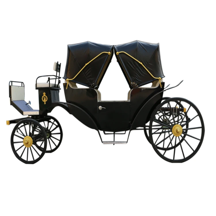 Luxury Four Wheels Sightseeing Horse Drawn Carriages - Buy Horse Drawn ...