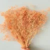 Arancione2
