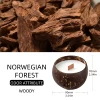 Norwegian Forest