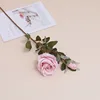 Rose pêche