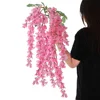 วิสทีเรียสีชมพูเข้ม - อลบิเซียหกแฉก