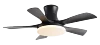 Negro