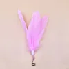 Pink feather