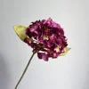Morado oscuro