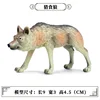 Lupo predatore M-047 colorato [0,034 kg]