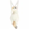 Ragdoll