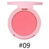 Powder blush 09
