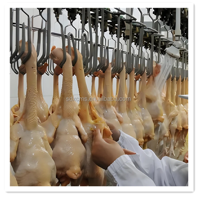 High Quality Automatic Chicken Duck Goose Processing Plant Poultry Slaughtering Equipment for Slaughterhouse