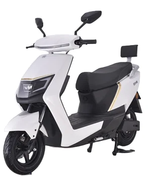EEC Electric Scooter Motorcycle for Adults ZHANLONG