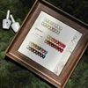 24 colors of cat's eye gel