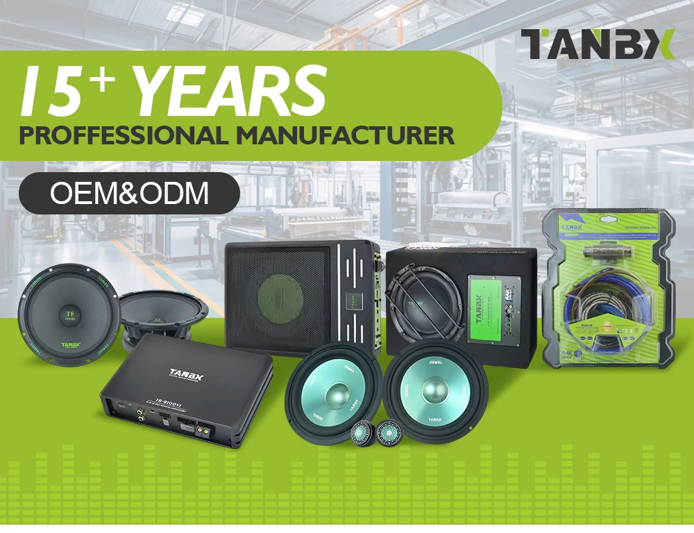 80W Factory Big Power Monol Sound Car Amplifier for Subwoofer