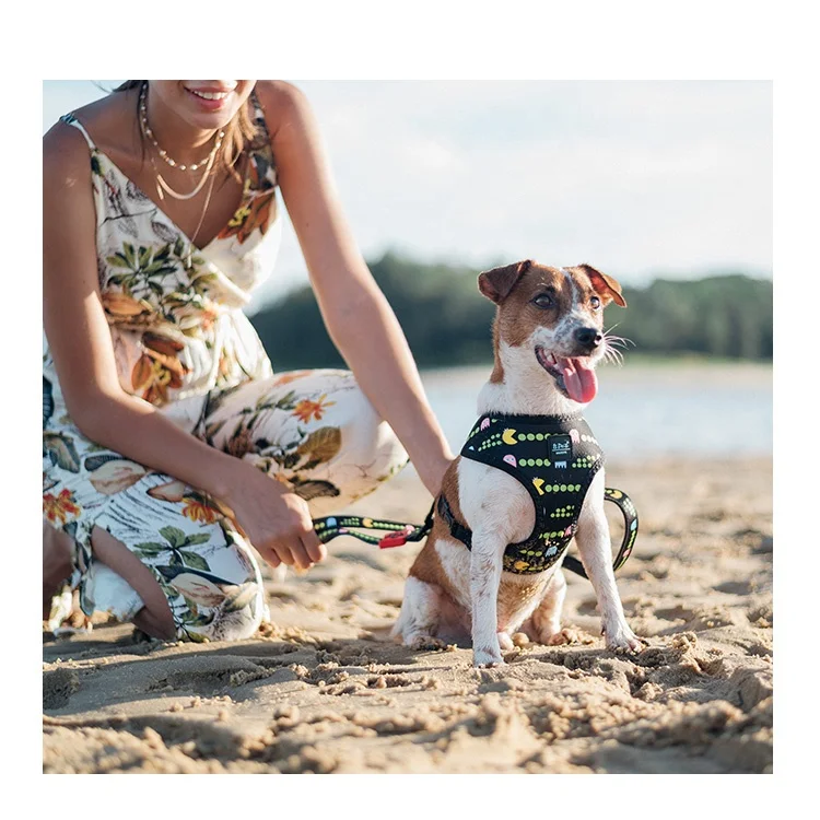 2024 Designer Nylon Pet Dogs Bravecto Supplies Luxury Eco Friendly Cat Dog Harness Set