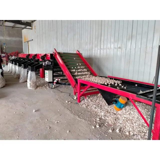 Hot Selling Cheap Automatic Garlic Sorting Grading Machine Reliable Versatile Garlic Vegetable Sorting Machine
