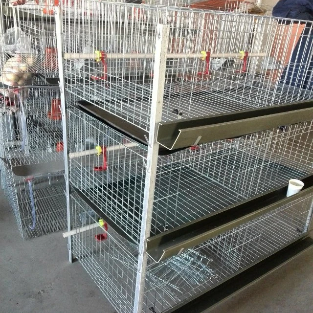 A Ve H Tipi Otomatik Zambiya Tavuk Ciftligi Kumesi Tavuk Kafesi Yumurta Tabakasi Buy Zambiya Tavuk Ciftligi Coop Tavuk Kafesi Yumurta Tabakasi Icin 3 Veya 4 Katmanli Yumurta Tavuk Pil Kafesleri Satilik Katmanli A Ve H Tipi Otomatik Zambiya Tavuk Ciftligi Kumesi Tavuk Kafesi Yumurta Tabakasi Buy Zambiya Tavuk Ciftligi Coop Tavuk Kafesi Yumurta Tabakasi Icin 3 Veya 4 Katmanli Yumurta Tavuk Pil Kafesleri Satilik Katmanli
