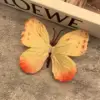 Taches jaune-orange-brun