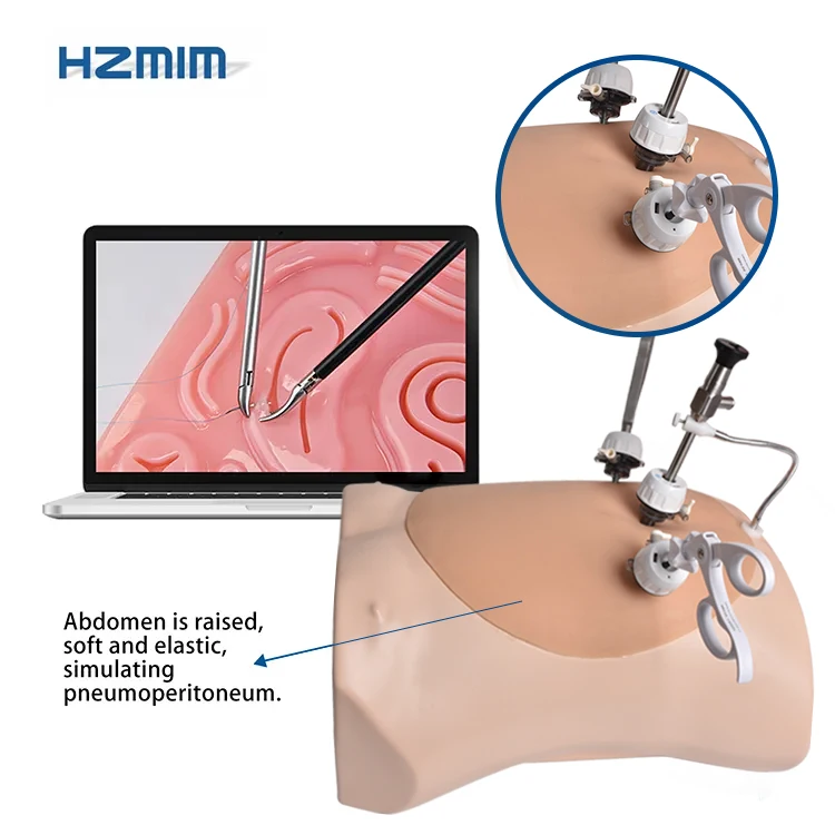 USB Camera Laparoscopic Trainer Box Abdominal Training Simulator for Medical Science