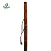 hiking stick