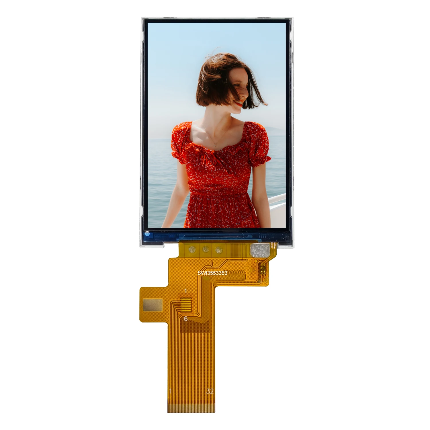 【井坪陽生】阪神 ルーキーエディションプレミアム 15枚限定 横型直筆サイン 27 【井坪陽生/阪神タイガース】BBM2023 ルーキーエディション