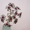 7 hemisphere fruit flower color-jujube red