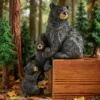 Orso nero