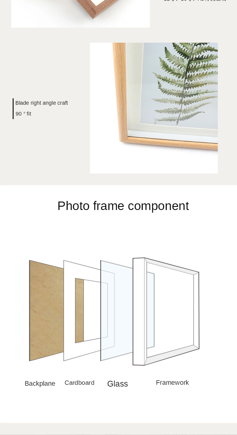 MDFphoto fram (9)