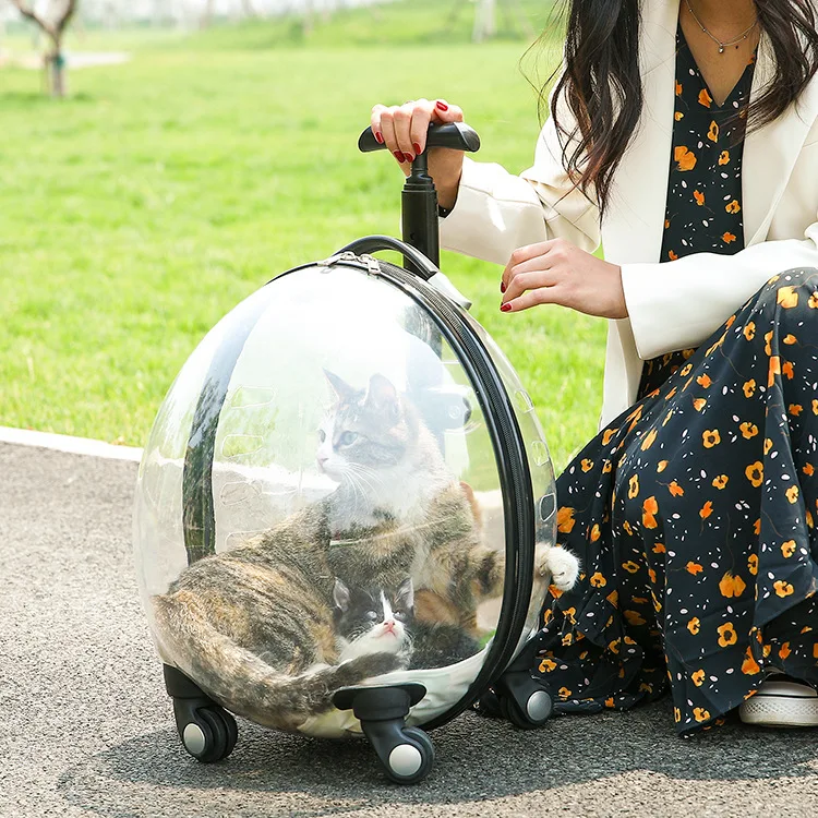 C&C Transparent Breathable Bubble Pet Travel Bag - Cat Carrier Backpack C&C Transparent Breathable Bubble Pet Travel Bag - Cat Carrier Backpack