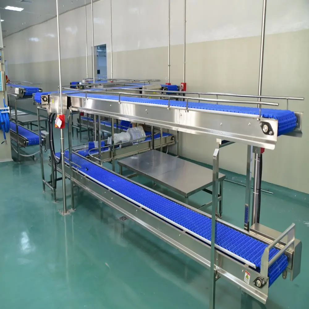 Halal cattle slaughterhouse equipped with slaughtering equipment and slaughter machinery